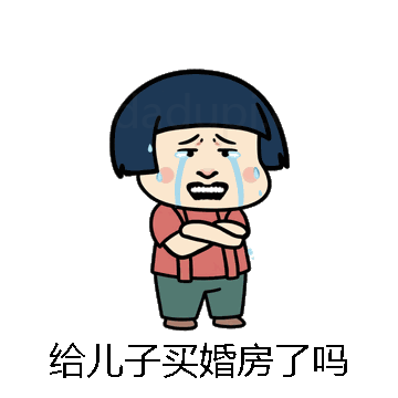 给儿子买婚房了吗微信表情包在线制作