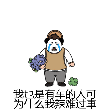 我也是有车的人可为什么我辣难过車微信表情包在线制作